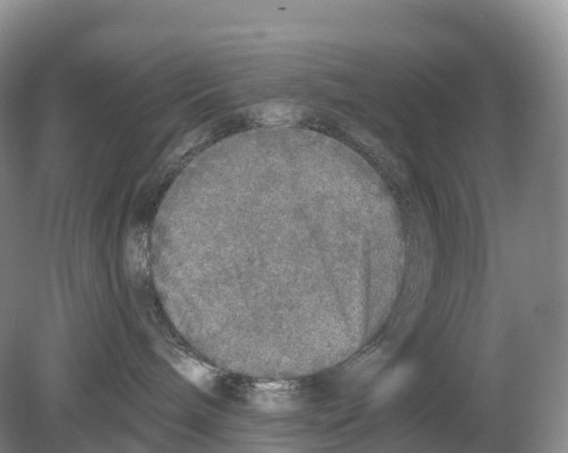 X0000078870240200612111721