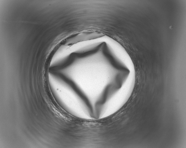 X0000078870242200612111721