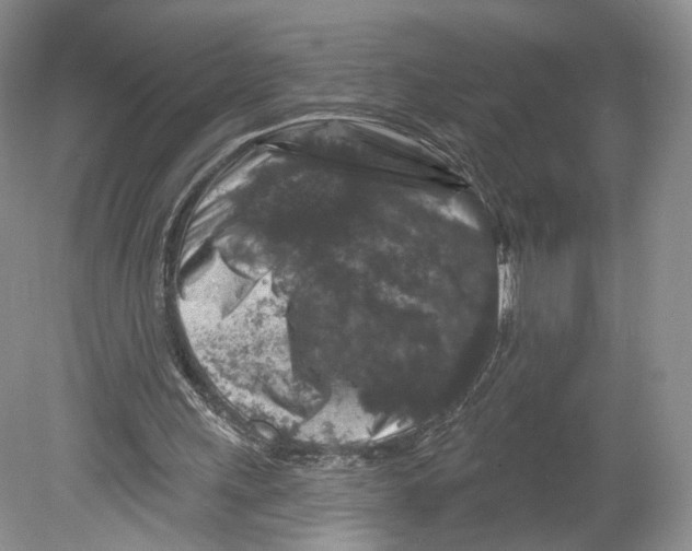 X0000078870243200612111721