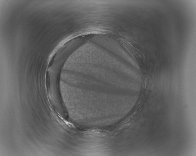 X0000078870244200612111721