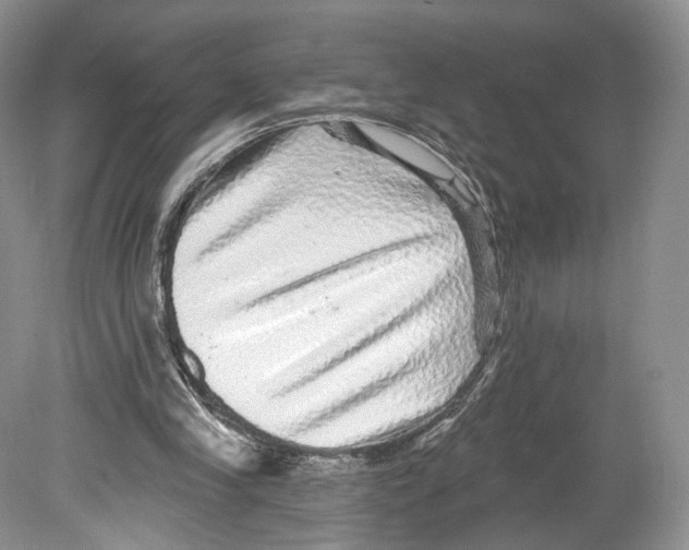 X0000078870245200612111721