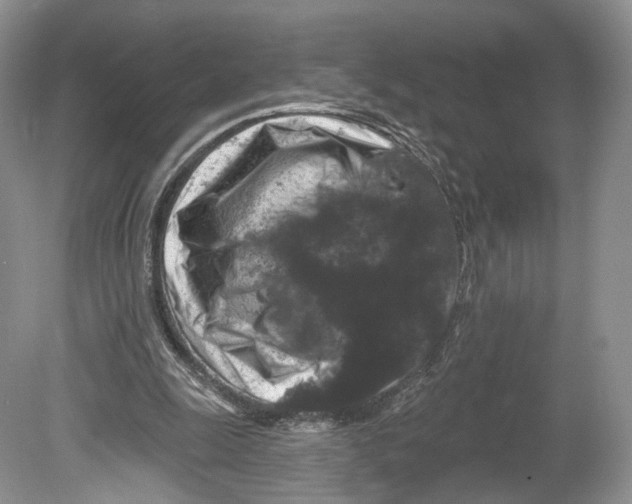 X0000078870247200612111721