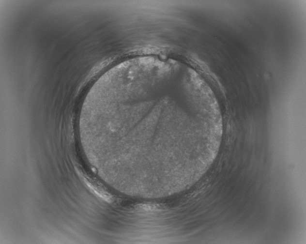 X0000078870250200612111721