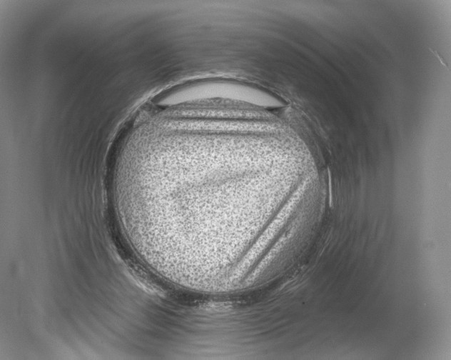 X0000078870252200612111721