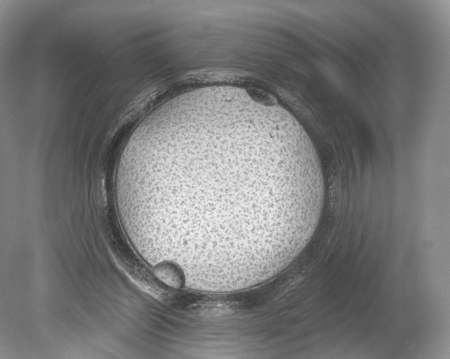 X0000078870254200612111721