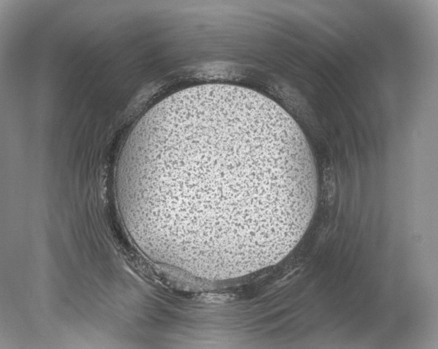 X0000078870255200612111721