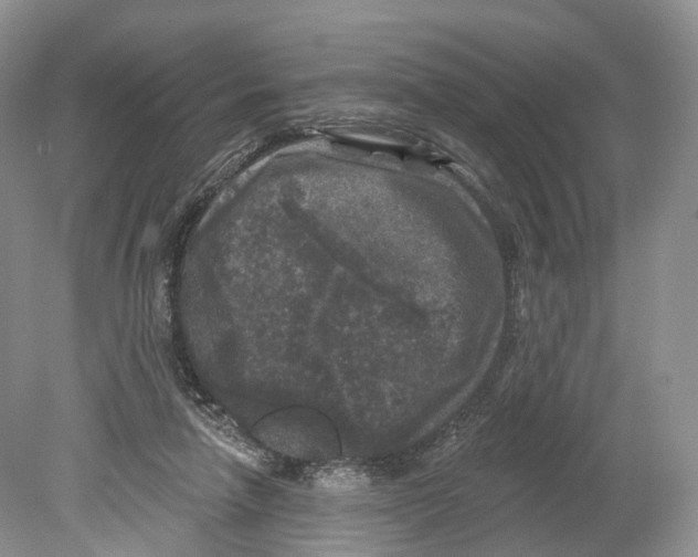 X0000078870258200612111721