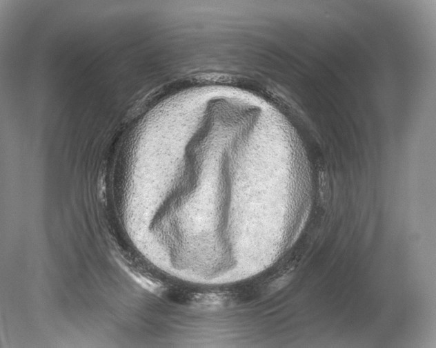 X0000078870259200612111721