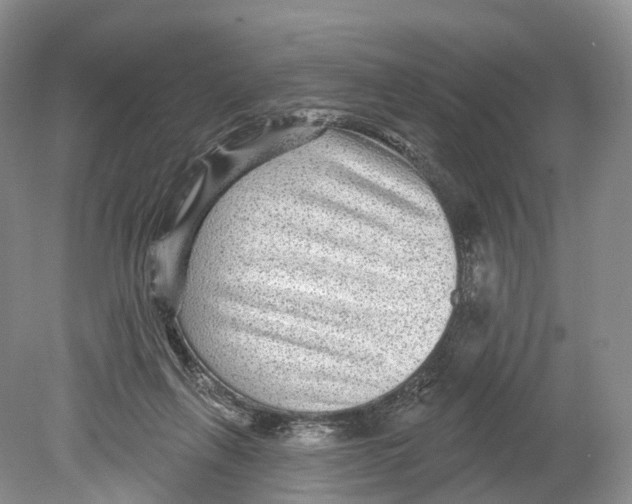 X0000078870263200612111721