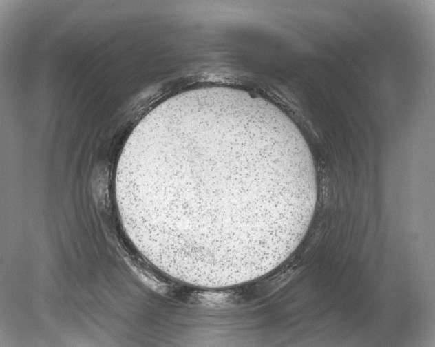 X0000078870265200612111721