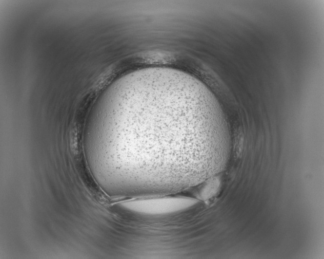 X0000078870268200612111721