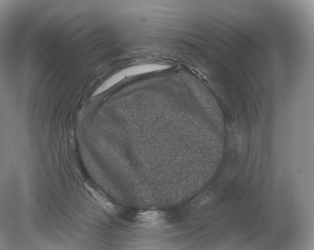 X0000078870269200612111721