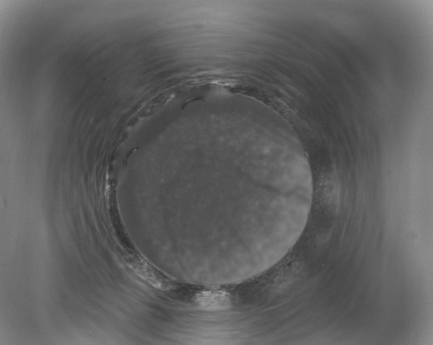 X0000078870271200612111721