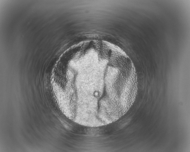 X0000078870273200612111721