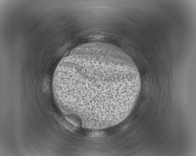 X0000078870274200612111721