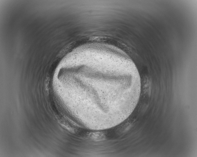 X0000078870275200612111721