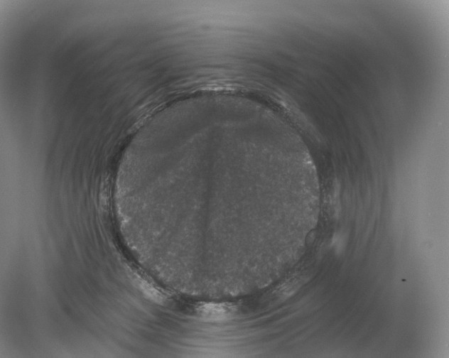 X0000078870277200612111721