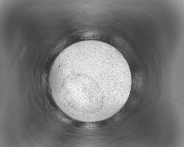 X0000078870278200612111721