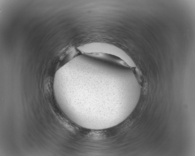 X0000078870280200612111721