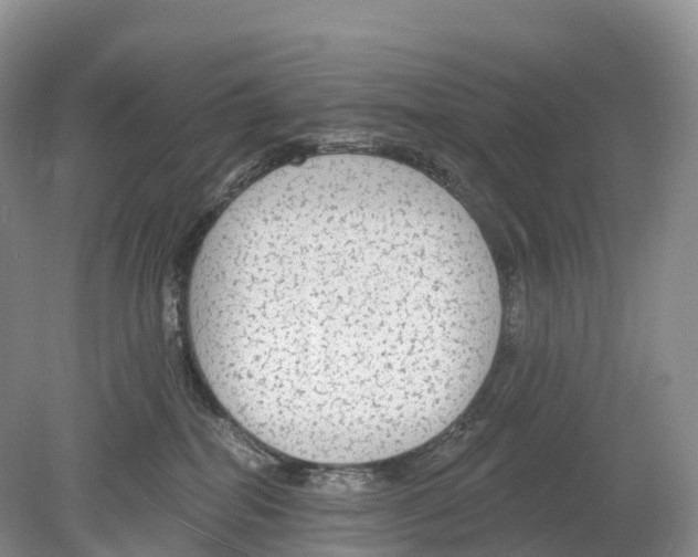 X0000078870282200612111721