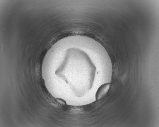 X0000078870283200612111721