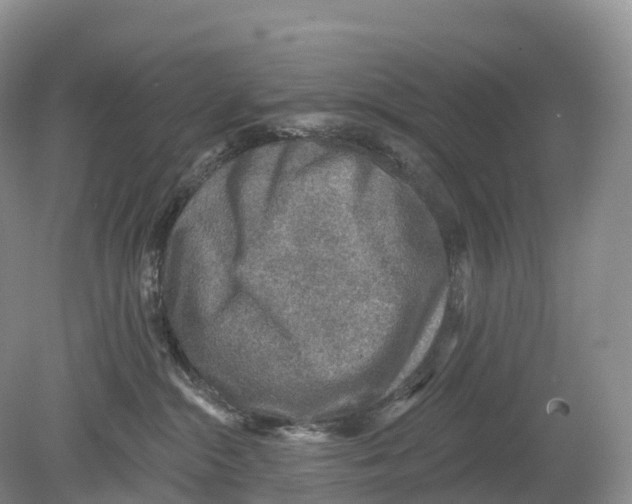 X0000078870284200612111721