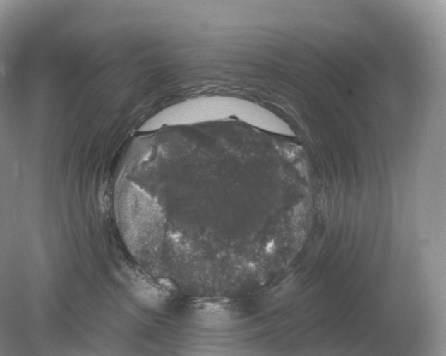 X0000078870285200612111721