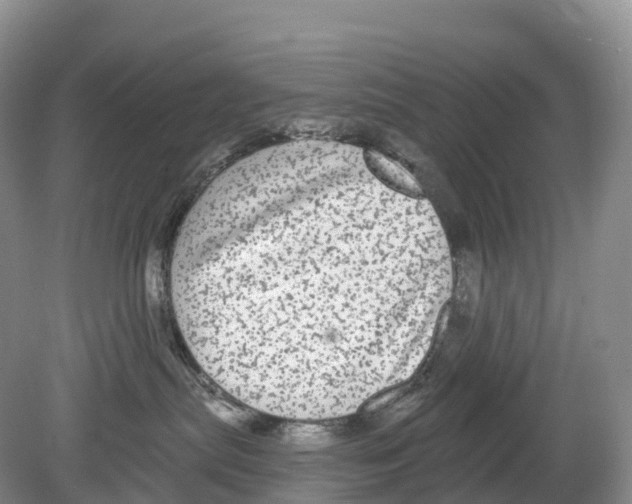 X0000078870287200612111721