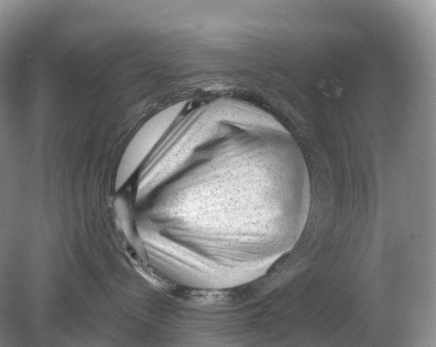 X0000078870288200612111721