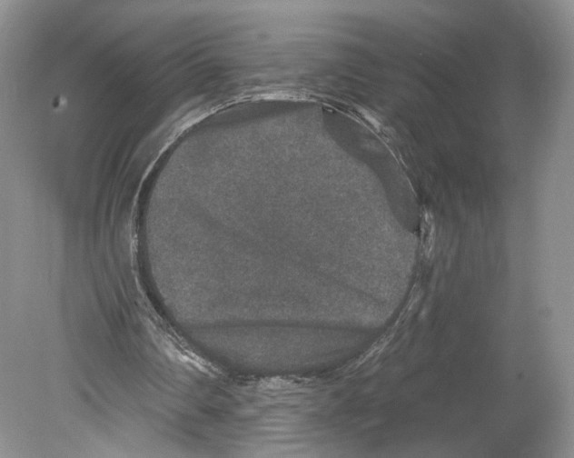 X0000078870290200612111721