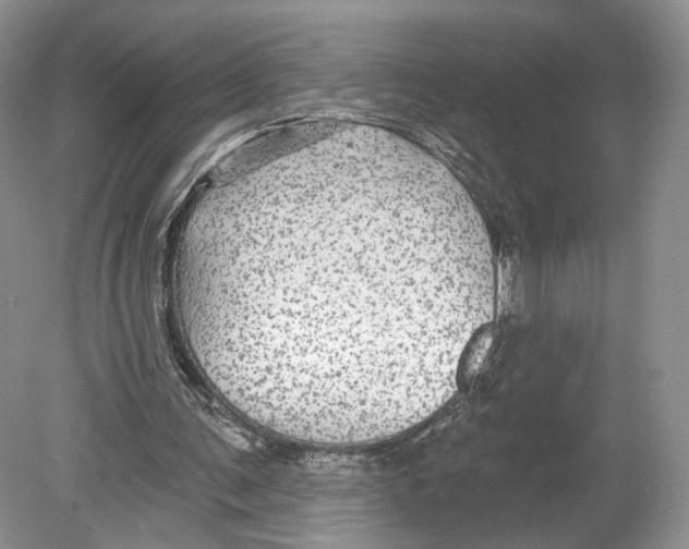 X0000078870291200612111721