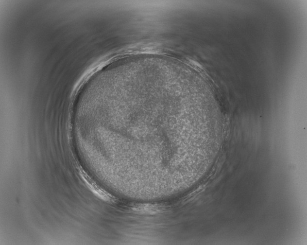 X0000078870293200612111721