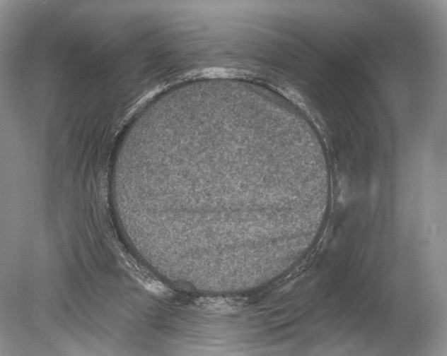 X0000078870297200612111721