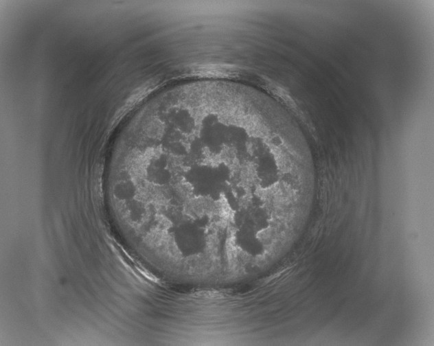 X0000078870299200612111720