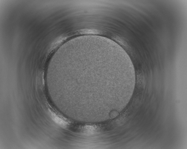 X0000078870302200612111720