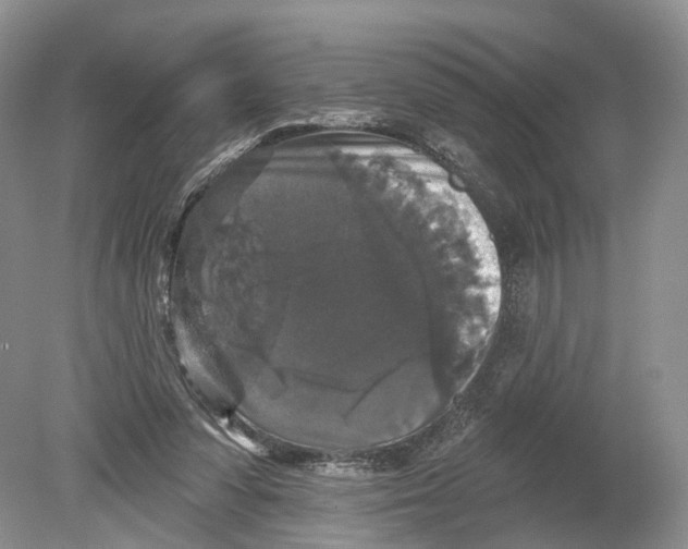 X0000078870303200612111720