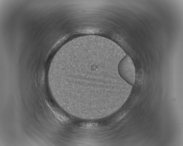 X0000078870304200612111720