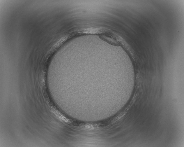 X0000078870305200612111720