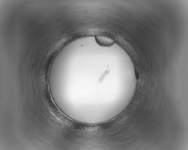 X0000078870306200612111720