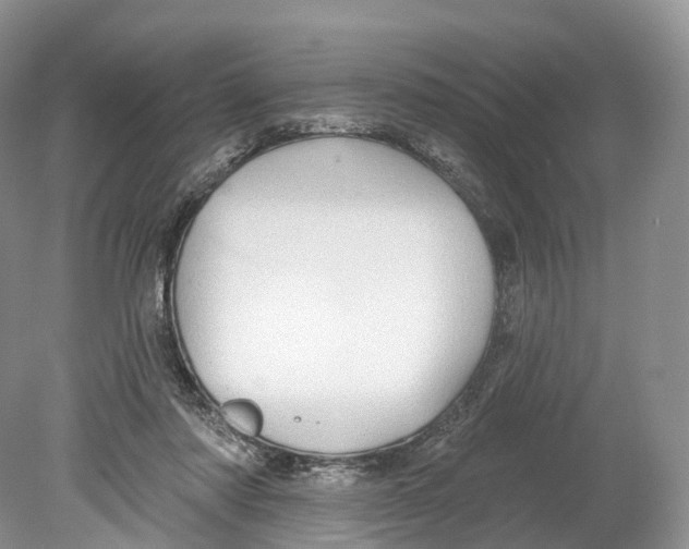 X0000078870310200612111720