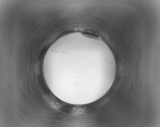 X0000078870311200612111720