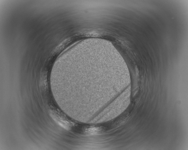 X0000078870312200612111720