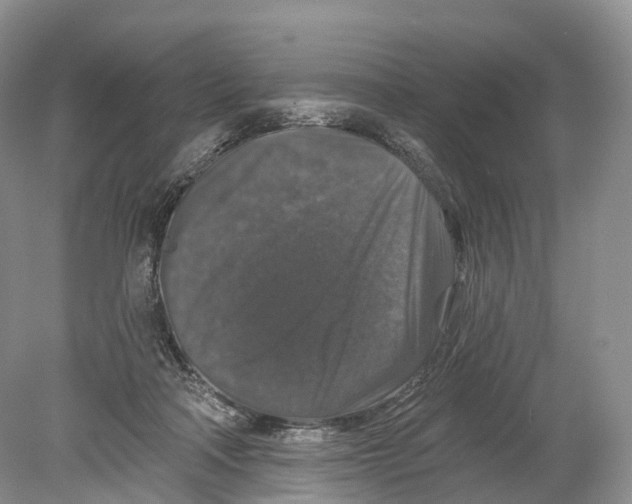 X0000078870314200612111720