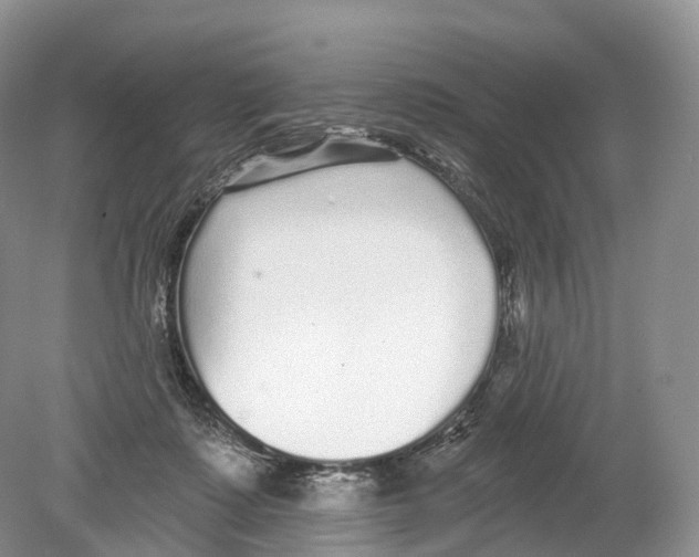 X0000078870315200612111720