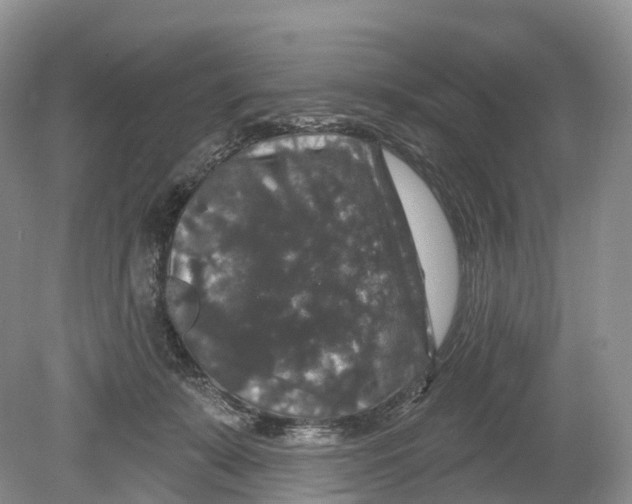 X0000078870319200612111720