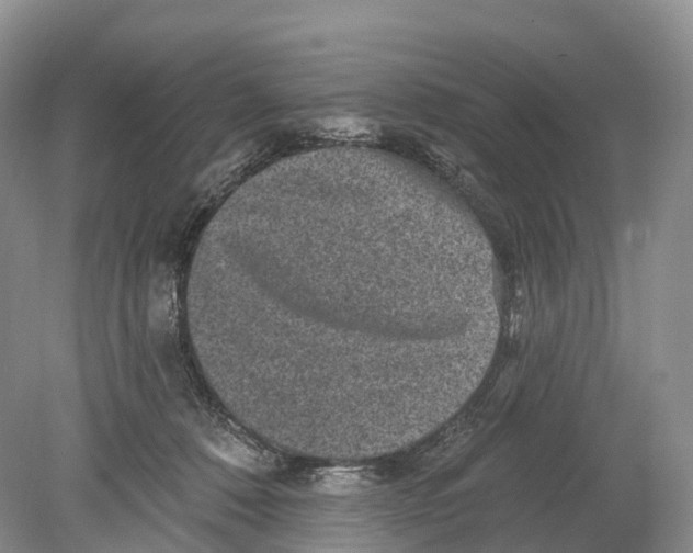 X0000078870320200612111720