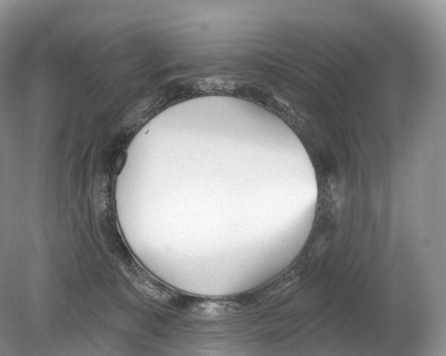 X0000078870323200612111720