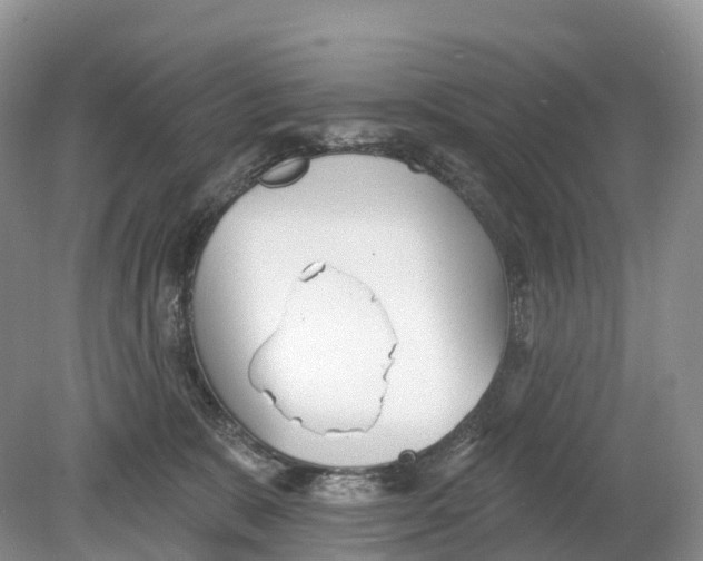 X0000078870327200612111720