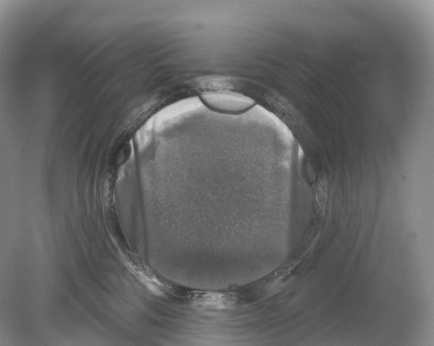 X0000078870330200612111720