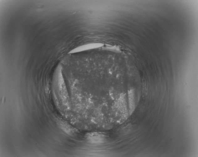 X0000078870331200612111720